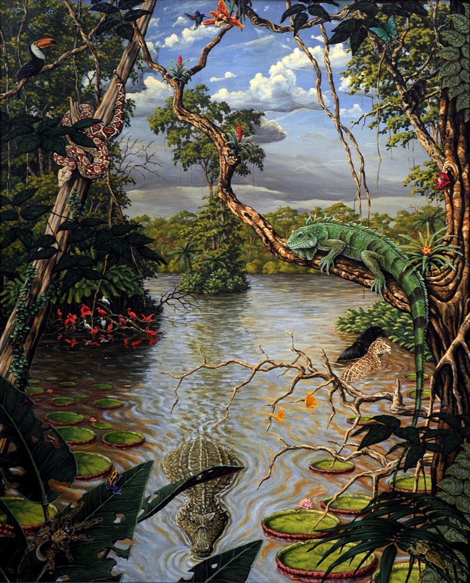The regnum of the green Iguana, 80 x 100 cm, 1993 - 2005