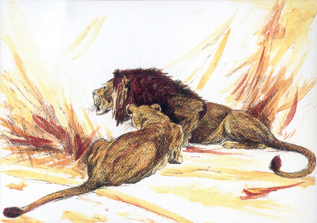 A couple of lions, 1989