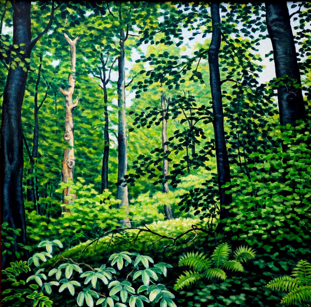 In the forest, 2007